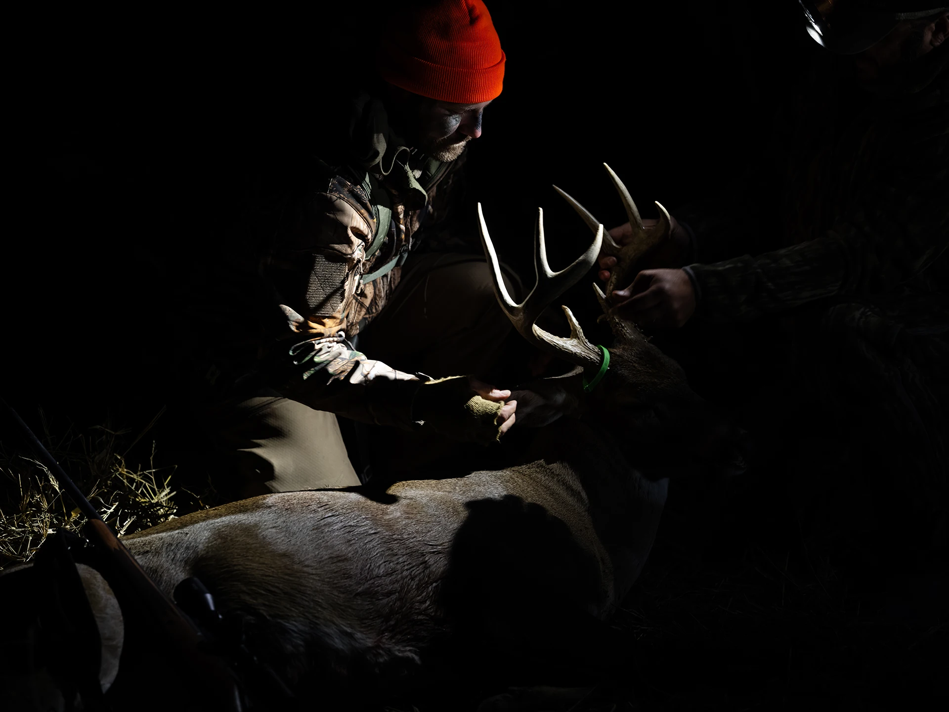 Deer kill color