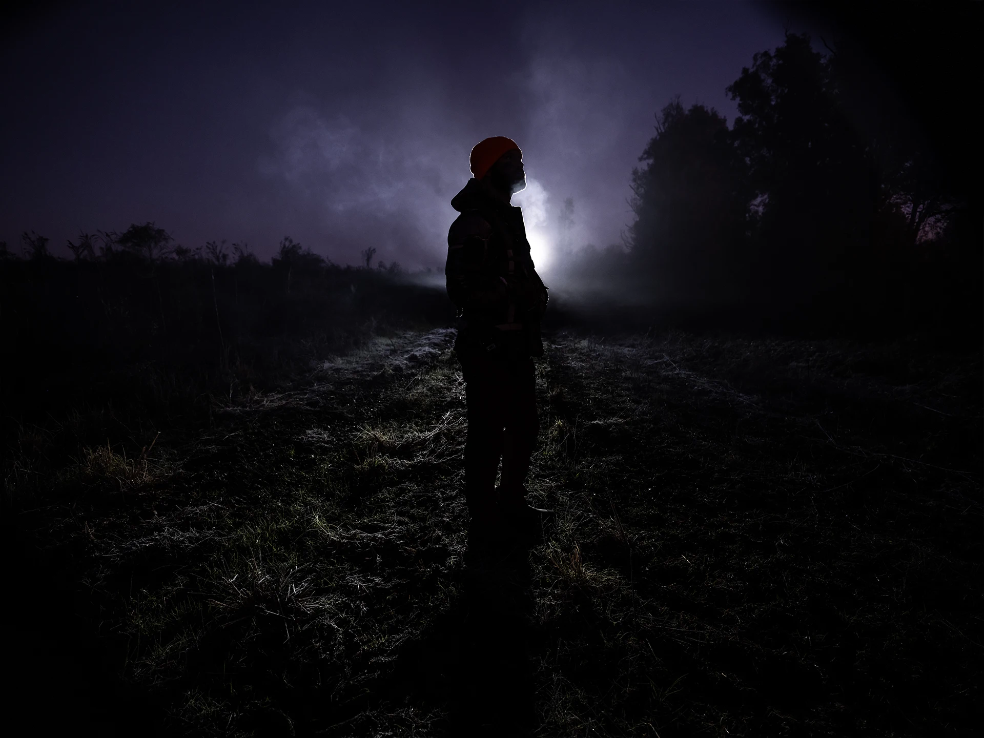 Night hunt backlit